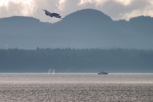 whale_boat_plane